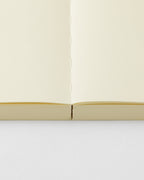 Blank
