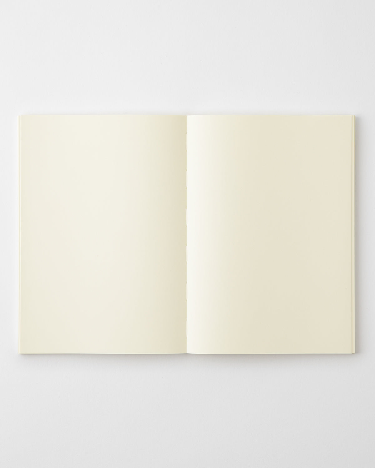 Blank