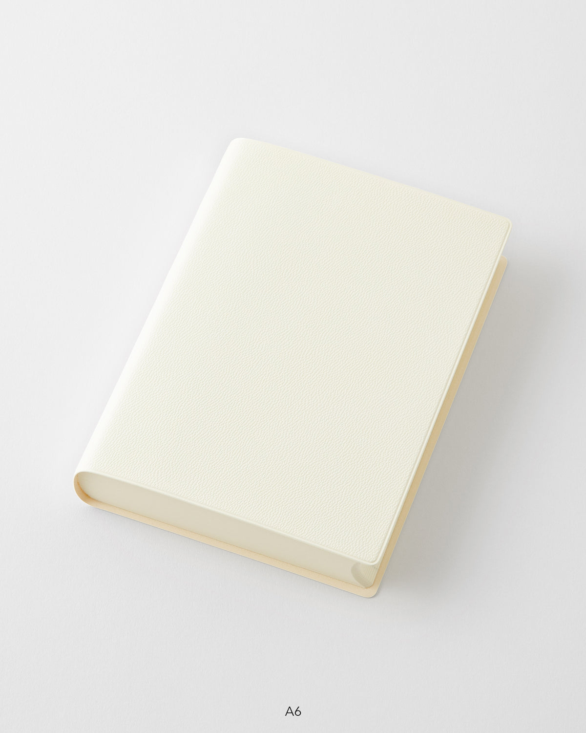 MD Notebook Diary 1 Day 1 Page A6